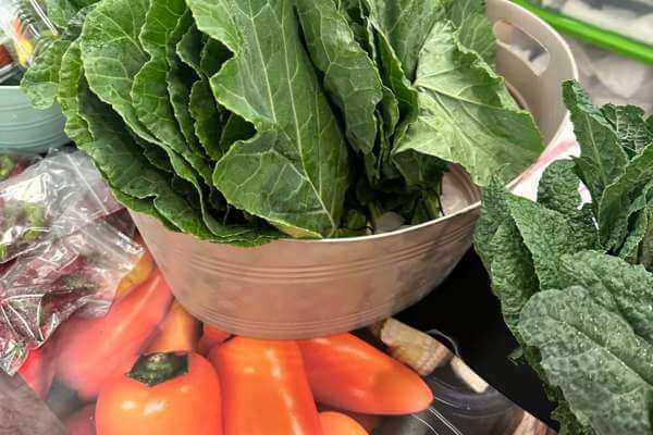 METRO helps residents gain access to the Acres Homes Farmers Market.